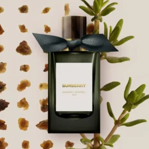 burberry signatures