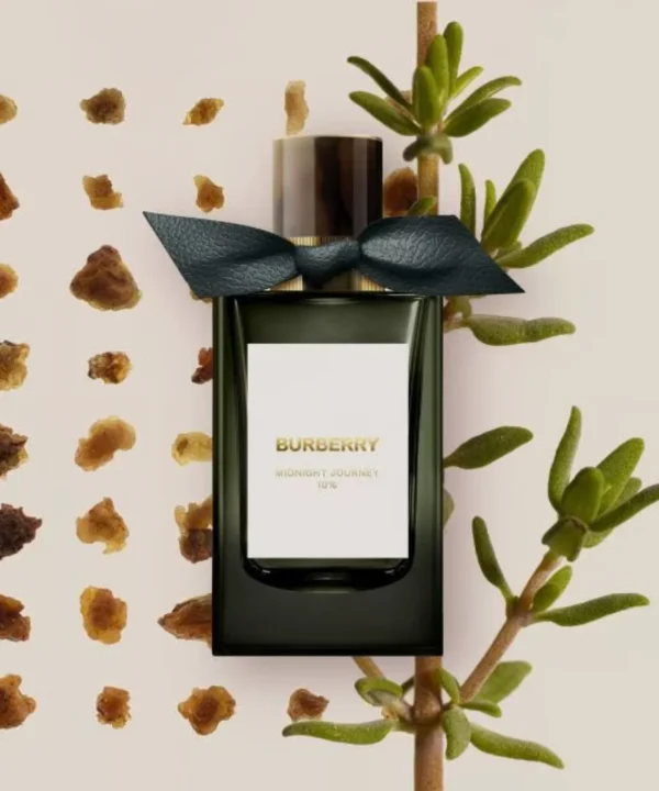 burberry signatures